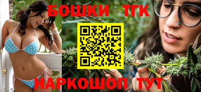 прущие крисы Абакан