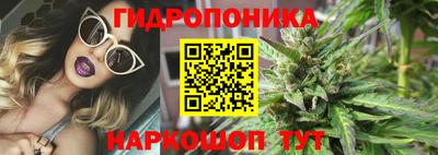 прущие крисы Абакан