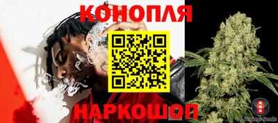 мдпв Гатчина