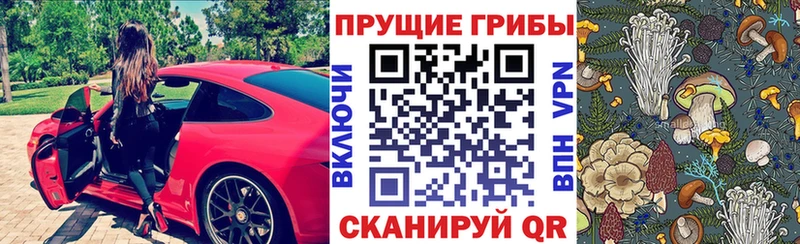 Псилоцибиновые грибы GOLDEN TEACHER Абинск