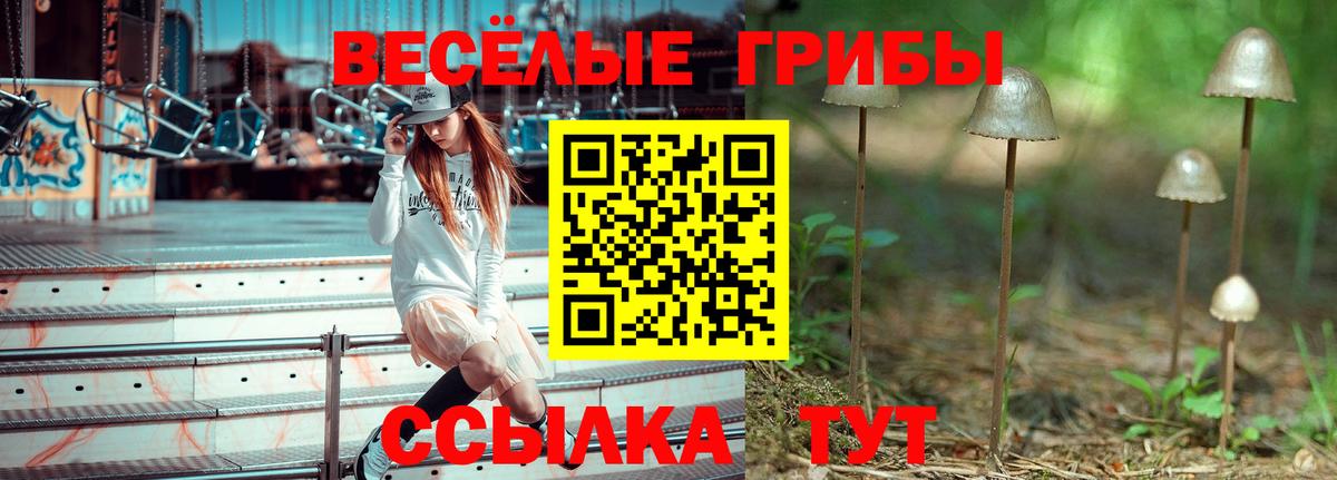 Псилоцибиновые грибы Magic Shrooms Абинск
