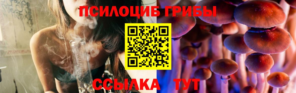 Абинск  где продают наркотики  Вход с VPN  Псилоцибиновые грибы GOLDEN TEACHER 