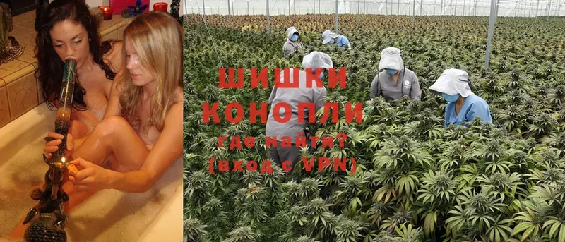 Бошки Шишки THC 21%  OMG как войти  Абинск  где продают  